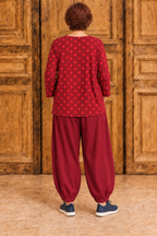 Normal Crazy -  Blouse New Moza lange mouw - Rood met stippen